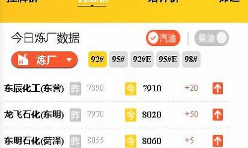 怎样查实时油价价格_怎么查油价格查询